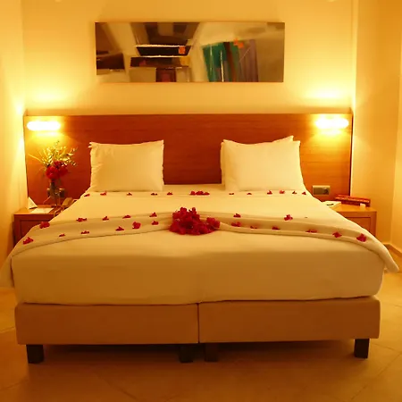 The Lifeco Bodrum Well-being Detox Center And Vegan (adults Only) 호텔 골터크부쿠