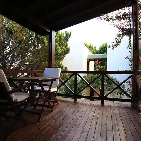 酒店 The Lifeco Bodrum Well-being Detox Center And Vegan (adults Only)