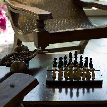 酒店 The Lifeco Bodrum Well-being Detox Center And Vegan (adults Only) 古托克布库