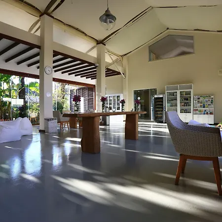 酒店 The Lifeco Bodrum Well-being Detox Center And Vegan (adults Only) 3*