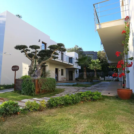 The Lifeco Bodrum Well-being Detox Center And Vegan (adults Only) 酒店 古托克布库