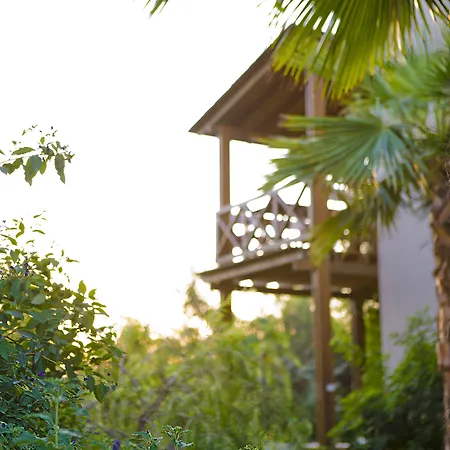 The Lifeco Bodrum Well-being Detox Center And Vegan (adults Only) 호텔 3*