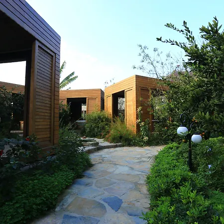 The Lifeco Bodrum Well-being Detox Center And Vegan (adults Only)