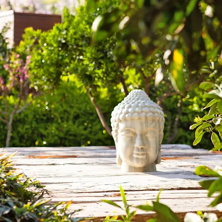 酒店 The Lifeco Bodrum Well-being Detox Center And Vegan (adults Only)