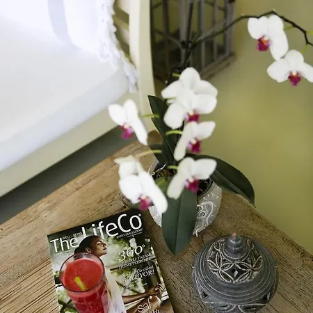 فندق The Lifeco Bodrum Well-being Detox Center&vegan 3*