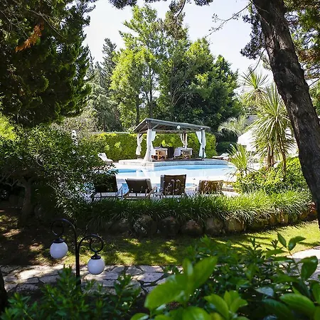 The Lifeco Bodrum Well-being Detox Center And Vegan (adults Only) 酒店 3*