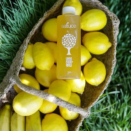 فندق The Lifeco Bodrum Well-being Detox Center&vegan 3*