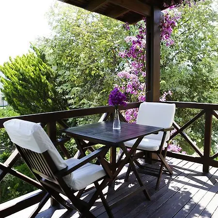 The Lifeco Bodrum Well-being Detox Center&vegan فندق غولتوركبوكو