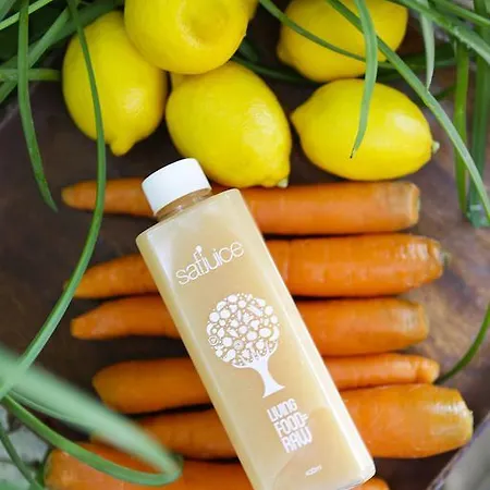 فندق The Lifeco Bodrum Well-being Detox Center&vegan 3*