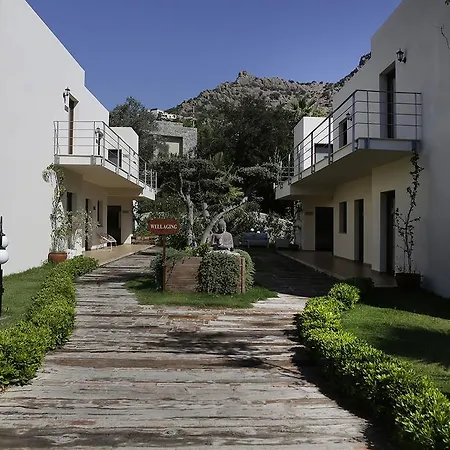 The Lifeco Bodrum Well-being Detox Center And Vegan (adults Only)
