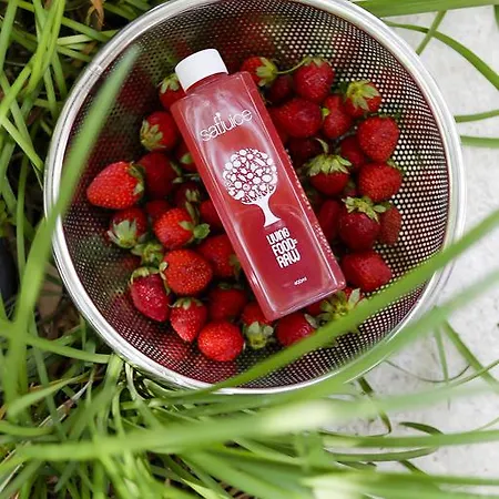 The Lifeco Bodrum Well-being Detox Center&vegan فندق