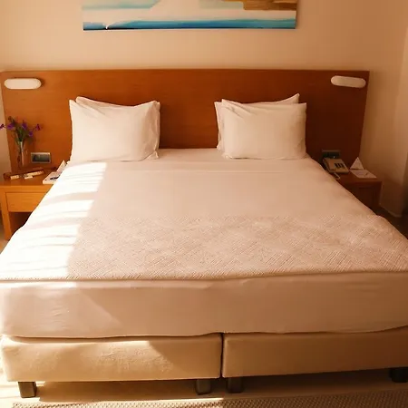 The Lifeco Bodrum Well-being Detox Center&vegan فندق
