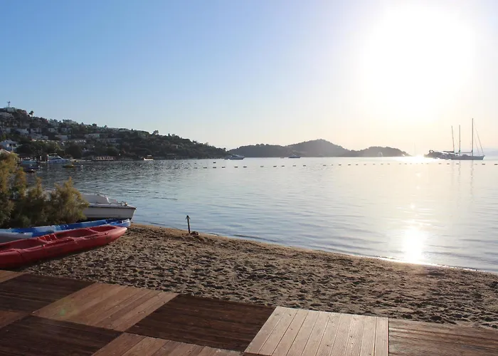 The Lifeco Bodrum Well-being Detox Center And Vegan (adults Only) Отель