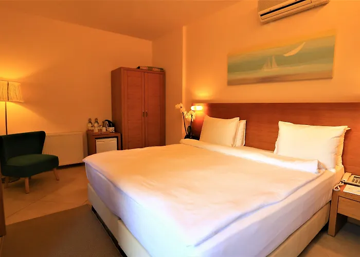 The Lifeco Bodrum Well-being Detox Center And Vegan (adults Only) 3* Гёльтюрбюку