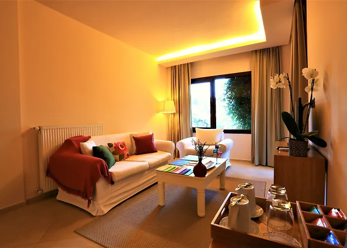 The Lifeco Bodrum Well-being Detox Center And Vegan (adults Only) Golturkbuku