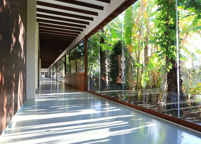 The Lifeco Bodrum Well-being Detox Center And Vegan (adults Only) 3*