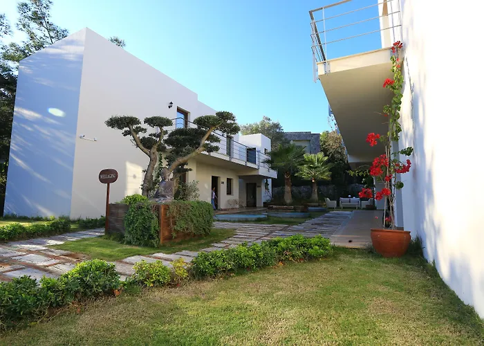 The Lifeco Bodrum Well-being Detox Center And Vegan (adults Only) Отель Гёльтюрбюку