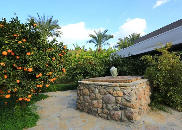 Отель The Lifeco Bodrum Well-being Detox Center And Vegan (adults Only)