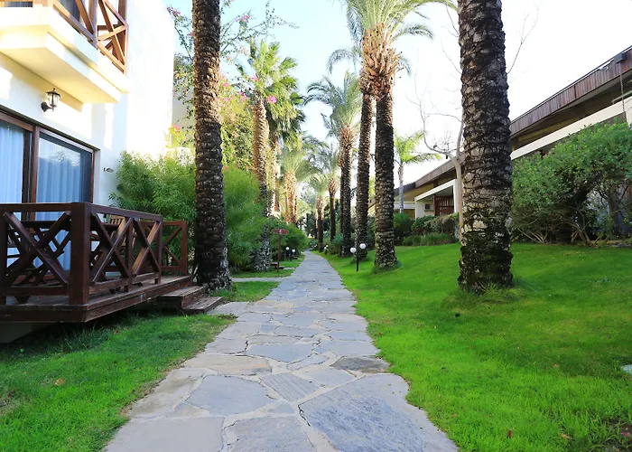 The Lifeco Bodrum Well-being Detox Center And Vegan (adults Only) 3*