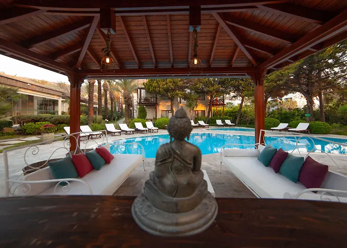 The Lifeco Bodrum Well-being Detox Center And Vegan (adults Only) Отель