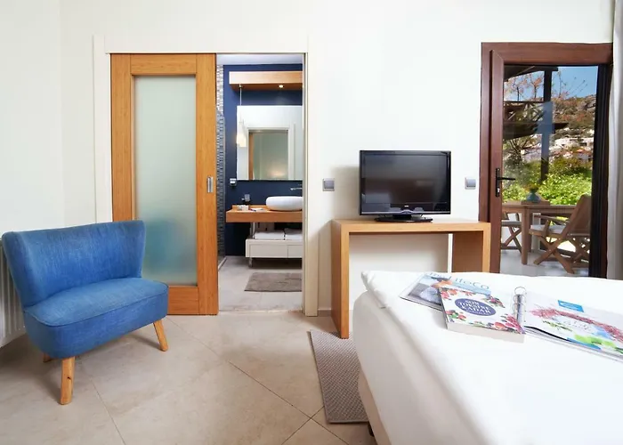 The Lifeco Bodrum Well-being Detox Center And Vegan (adults Only)