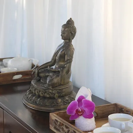 Hotel The Lifeco Bodrum Well-being Detox Center And Vegan (adults Only)