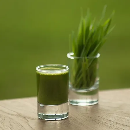 The Lifeco Bodrum Well-being Detox Center And Vegan (adults Only) Hotel Türkbükü