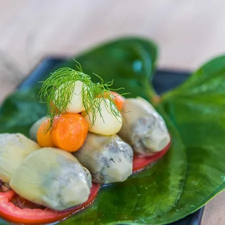 The Lifeco Bodrum Well-being Detox Center And Vegan (adults Only) 3*