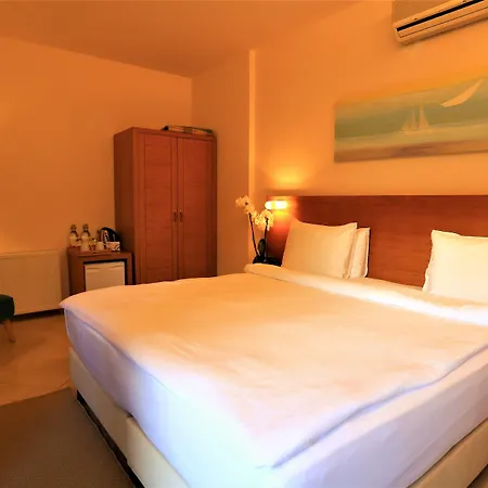 The Lifeco Bodrum Well-being Detox Center And Vegan (adults Only) 3* Göltürkbükü