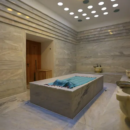The Lifeco Bodrum Well-being Detox Center And Vegan (adults Only) Hotel 3*
