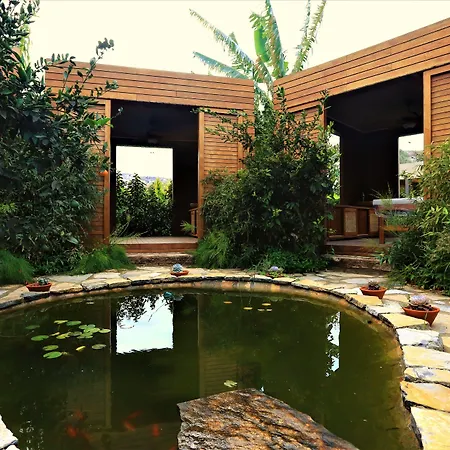 Hotel The Lifeco Bodrum Well-being Detox Center And Vegan (adults Only) 3*
