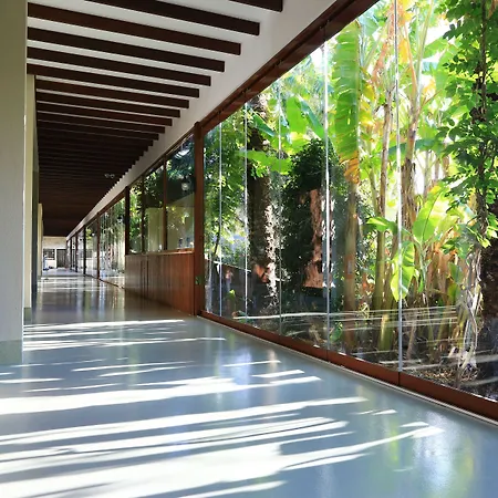 The Lifeco Bodrum Well-being Detox Center And Vegan (adults Only) 3*