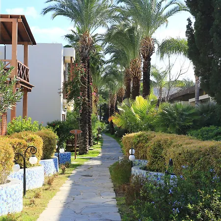 Hotel The Lifeco Bodrum Well-being Detox Center And Vegan (adults Only)