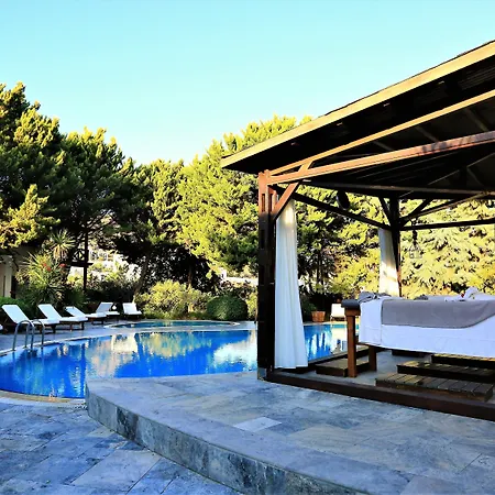 The Lifeco Bodrum Well-being Detox Center And Vegan (adults Only) Hotel Golturkbuku