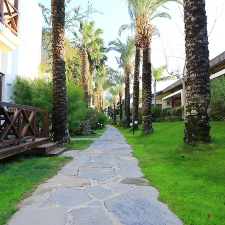 The Lifeco Bodrum Well-being Detox Center And Vegan (adults Only) 3*