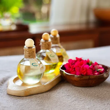 The Lifeco Bodrum Well-being Detox Center And Vegan (adults Only) Hotel Golturkbuku