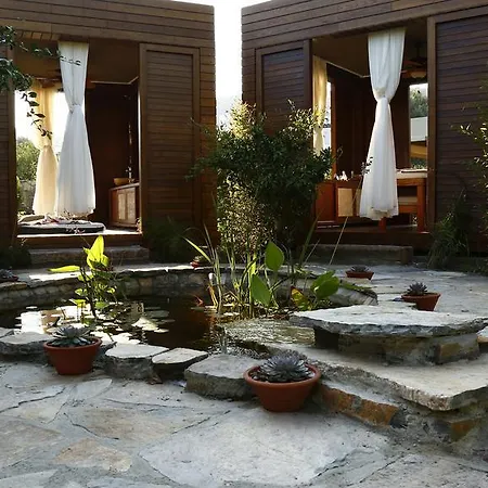 The Lifeco Bodrum Well-being Detox Center And Vegan (adults Only)