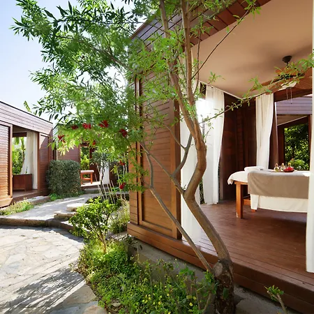 Hotel The Lifeco Bodrum Well-being Detox Center And Vegan (adults Only)