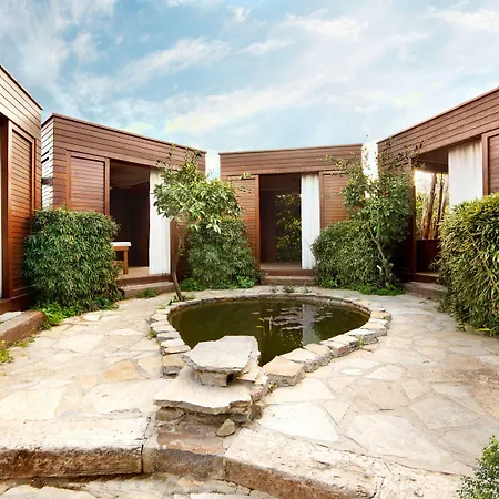 The Lifeco Bodrum Well-being Detox Center And Vegan (adults Only) Göltürkbükü