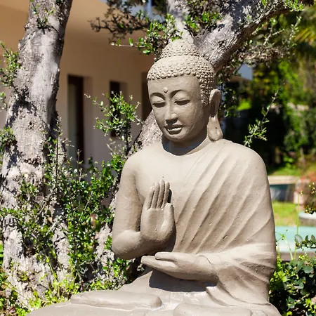 The Lifeco Bodrum Well-being Detox Center And Vegan (adults Only) 3* Göltürkbükü