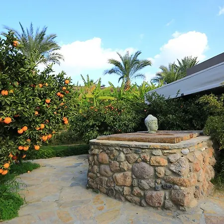 The Lifeco Bodrum Well-being Detox Center And Vegan (adults Only) 3* Türkbükü