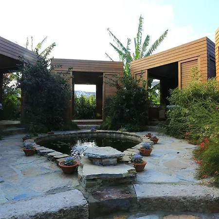 Hotel The Lifeco Bodrum Well-being Detox Center And Vegan (adults Only)