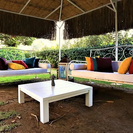 The Lifeco Bodrum Well-being Detox Center And Vegan (adults Only) 3* Türkbükü