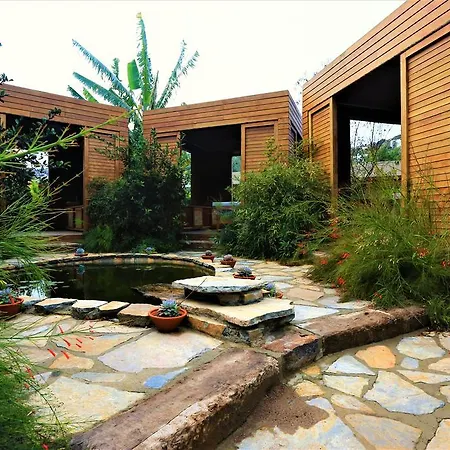 Szálloda The Lifeco Bodrum Well-being Detox Center And Vegan (adults Only) Golturkbuku