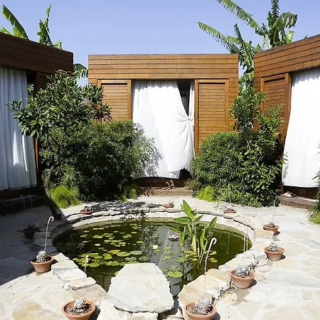 The Lifeco Bodrum Well-being Detox Center And Vegan (adults Only) Türkbükü