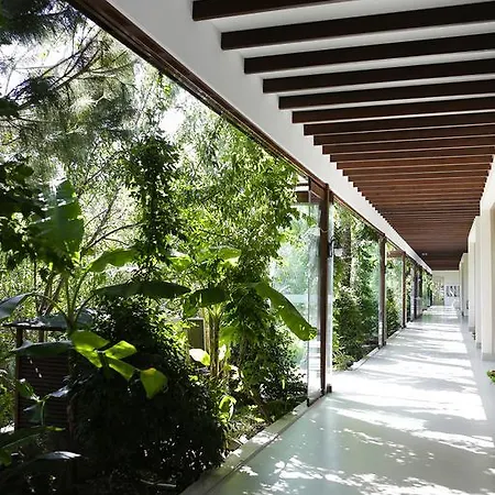 The Lifeco Bodrum Well-being Detox Center And Vegan (adults Only) 3* Türkbükü
