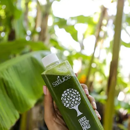 The Lifeco Bodrum Well-being Detox Center And Vegan (adults Only) Türkbükü
