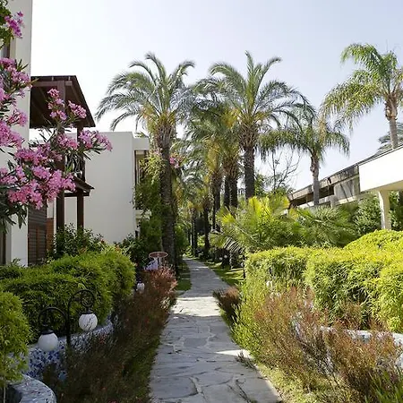 The Lifeco Bodrum Well-being Detox Center And Vegan (adults Only)