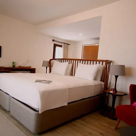 Hotel The Lifeco Bodrum Well-being Detox Center And Vegan (adults Only) Türkbükü