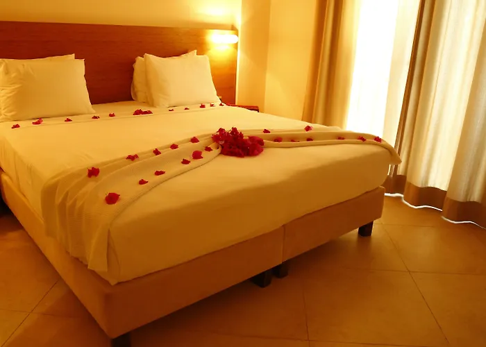 酒店 The Lifeco Bodrum Well-being Detox Center And Vegan (adults Only) 3*